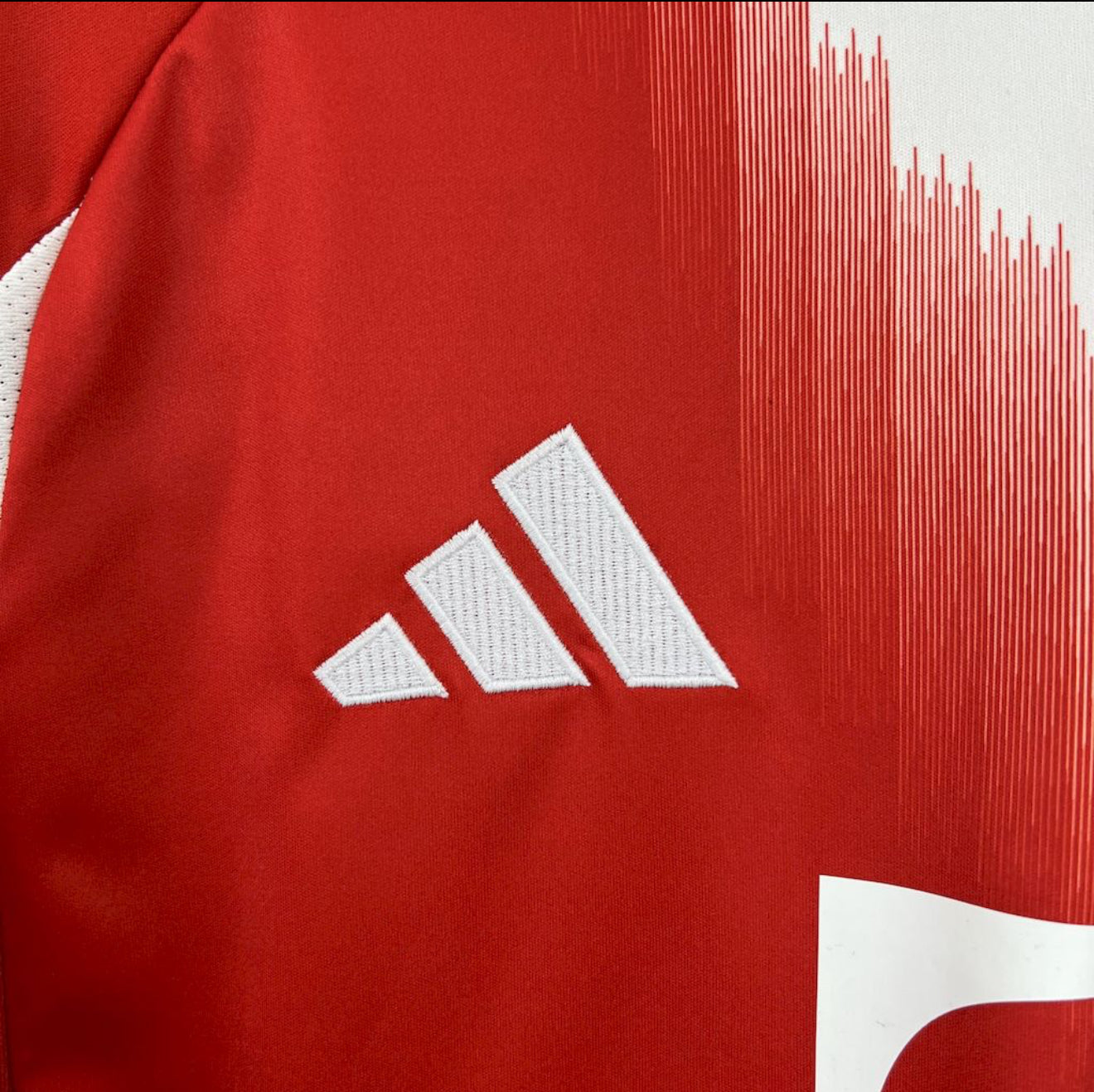 Bayern Munich Home Jersey 25/26